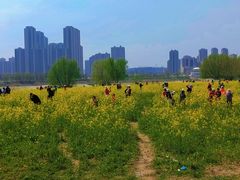 -汉江湾体育公园