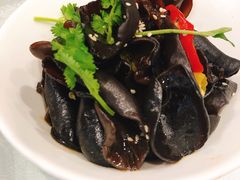 -上海浦东华美达大酒店