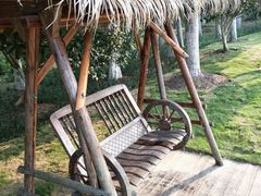 -合肥滨湖国家森林公园