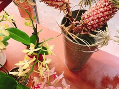 -二酉书店TOYOU BOOKS