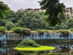 -重庆彩云湖湿地公园