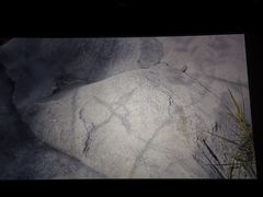 -SFC上影影城(港汇永华IMAX激光店)