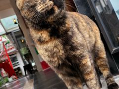 -EATALIA意塔利意式餐厅(鼓楼店)