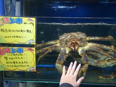 -蚝专家(北滘店)