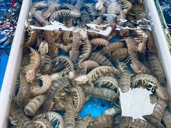 -南沙十九涌渔人码头-南门