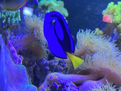 -苏州海洋馆