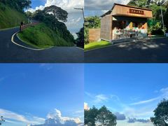 -黄埔油麻山森林公园