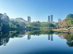 -四海公园(南山区)