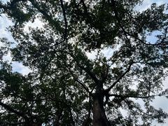 -晓港公园