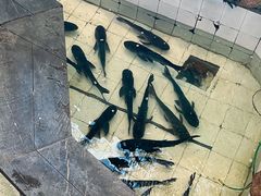 -春盛渔府(牛首山店)