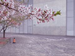 -龙美术馆(西岸馆)
