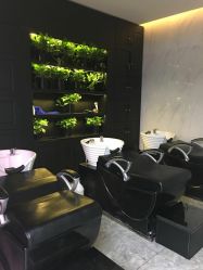 -变画·发型STUDIO