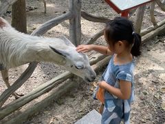 -昆山城市生态森林公园
