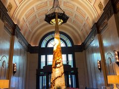 -上海和平饭店-华懋阁 The Cathay Room