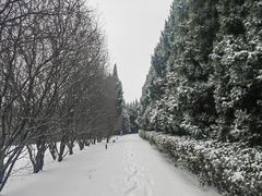 -秦始皇帝陵博物院-丽山园