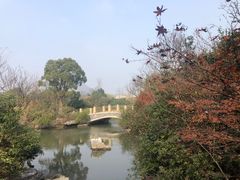 -桃花岛景观公园