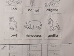 -瑞思少儿中心·少儿英语素养启蒙(回龙观校区)