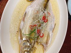 -杭州桐庐康莱德酒店西餐厅-舍