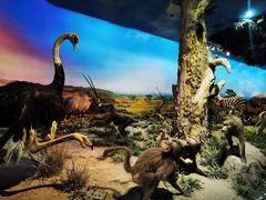 -国家自然博物馆