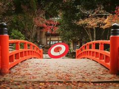 -醍醐寺