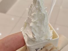 -野人先生Gelato(上海长宁龙之梦店)