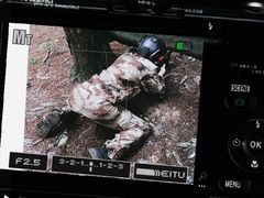 -铁山坪森林公园