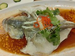 -粤香村(清真川菜店)