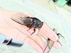 -苏州河梦清园环保主题公园