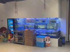-海月湾海景餐厅( 嵊泗本地老字号店)