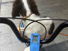 -嘉馨宠物医院·CT影像转诊·心脏科·犬猫全科诊疗中心(下沙大学城院区)