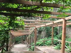 -大岭沟猕猴桃谷风景区