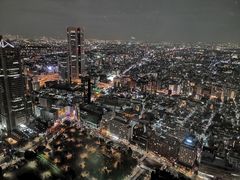 -东京都厅舍