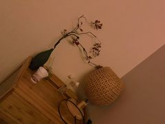 -聆耳·采耳·按摩·SPA(会展中心店)