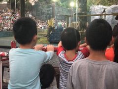 -清迈夜间动物园