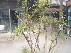 -大妙火锅·非物质文化遗产(东湖公园店)