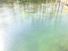 -南京金牛湖风景区