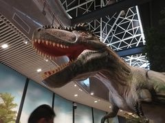 -湖南省地质博物馆