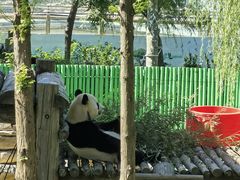 -西霞口神雕山野生动物世界