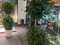 -杏花村水席楼·洛阳水席(老城十字街店)