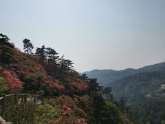 -木兰云雾山