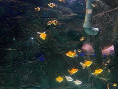 -苏州海洋馆