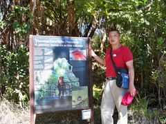 -夏威夷火山国家公园