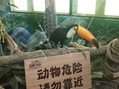 -海合安武汉极地海洋公园