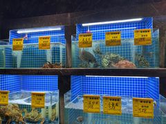 -虾佬圣汤·海鲜姿造(乐堤港店)