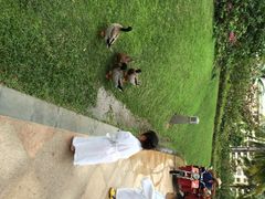 iphone_upload_pic-三亚亚龙湾天域度假酒店