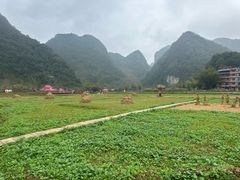 -靖西鹅泉风景区