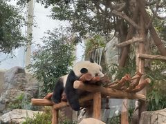 -香港海洋公园