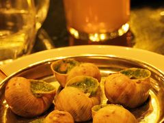 -金蜗牛