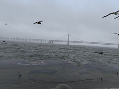 -星海广场