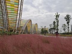 -中国天府农业博览园